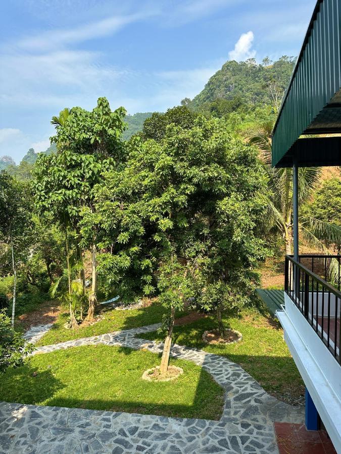Felila Hostel & Tours Hà Giang Ngoại thất bức ảnh
